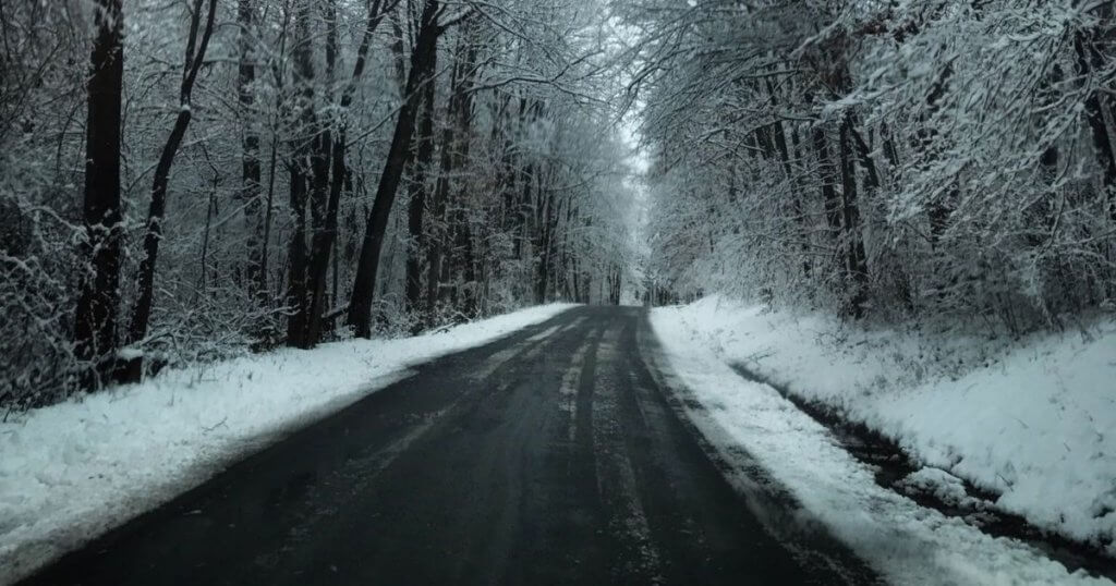 Snowy tree lined road in winter