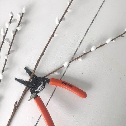 Using wire cutter to cut pussy willow stems