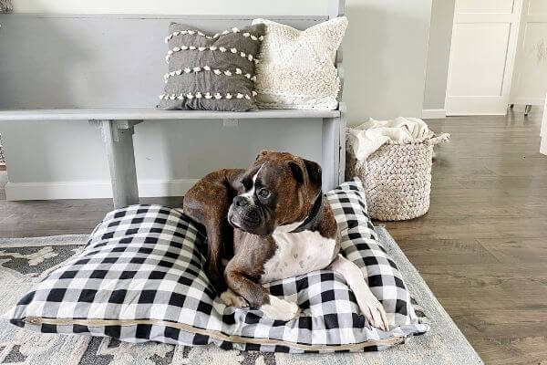 Dog bed pillow clearance insert