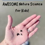 Shark tooth hunting - nature science for kids
