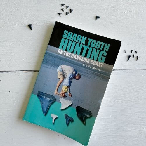 Informative book about shark tooth hunting