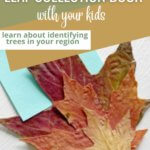 Learn about trees in your region