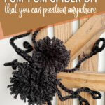 Pom-pom spider with pipe cleaner legs