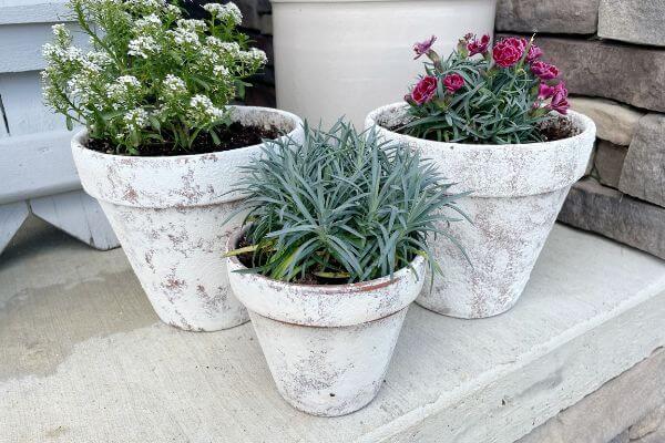 3 terracotta pots aged with baking soda and paint