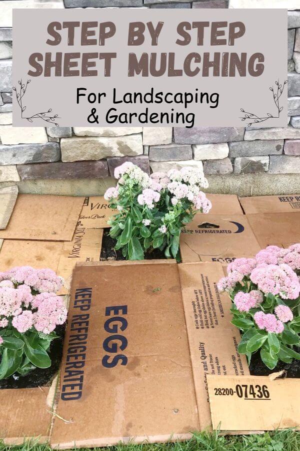 Sheet Mulching for Foundation Planting - Dappled Skies and Diys