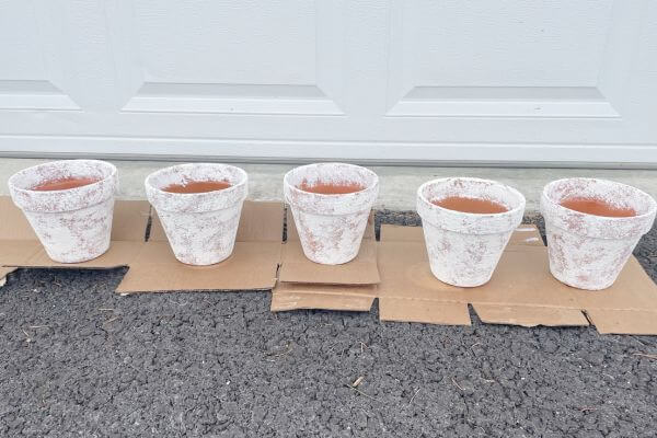 Six painted clay pots with 2 coats of sealer applied.