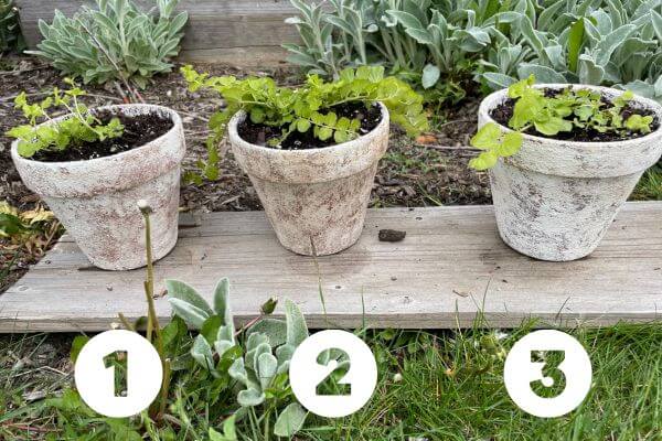 How to Seal Painted Terracotta Pots - Dappled Skies and Diys