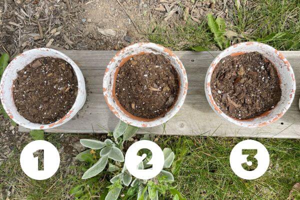 How to Seal Painted Terracotta Pots - Dappled Skies and Diys