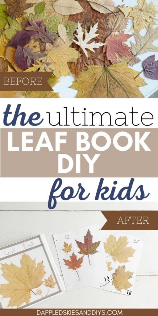 DIY leaf collection book for kids.
