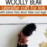 Woolly Bear caterpillar made out of pom poms.
