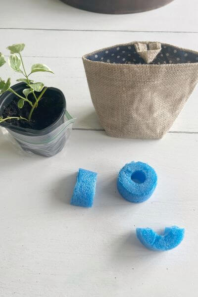A cut-up pool noodle next to a plant in a container and small burlap basket. 