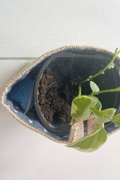 Plant in burlap hanging basket with pool noodle piece stabilizing the sides.