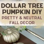 Dollar Tree cement pumpkin makeover using paint.