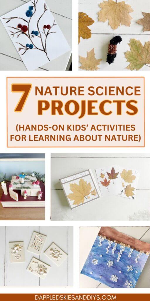 Seven nature science project ideas for kids. 