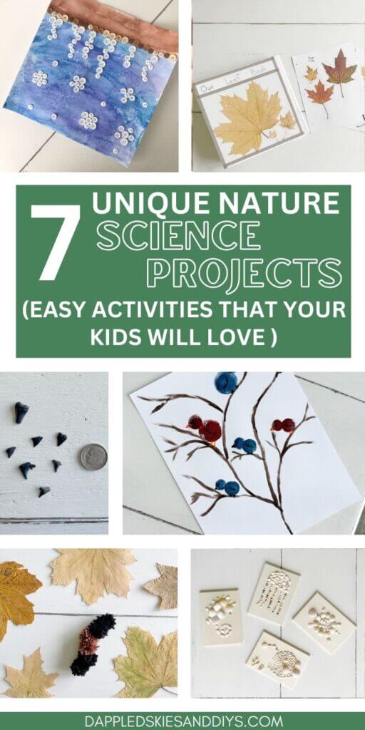 7 unique nature science projects to do with the kids. 