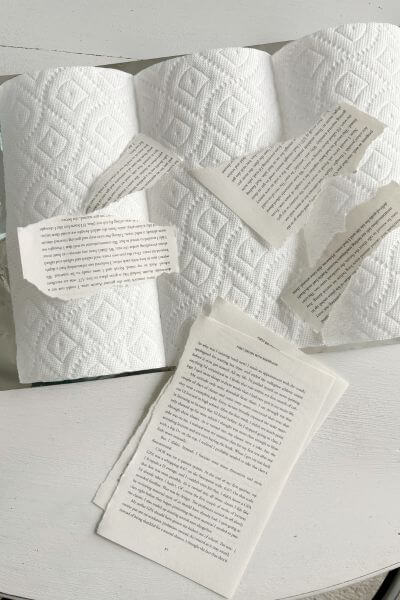 Book pages removed from a book and torn into pieces.