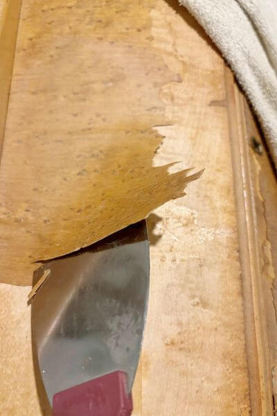 Using a scraper to lift up the veneer, after heating it with the iron. 