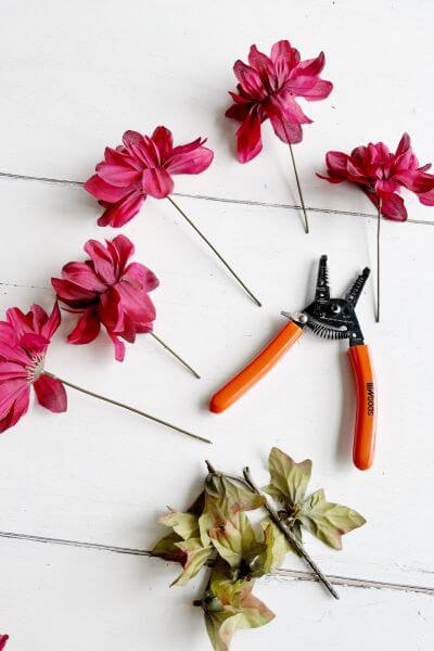 Dahlia flowers cut off the central stem with wire cutters. 