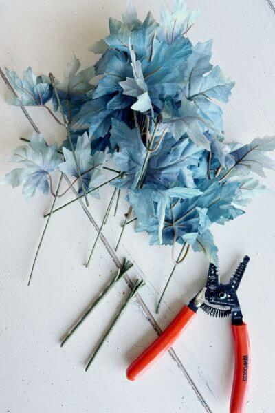 Clip the blue maple leaves from the central stem. 