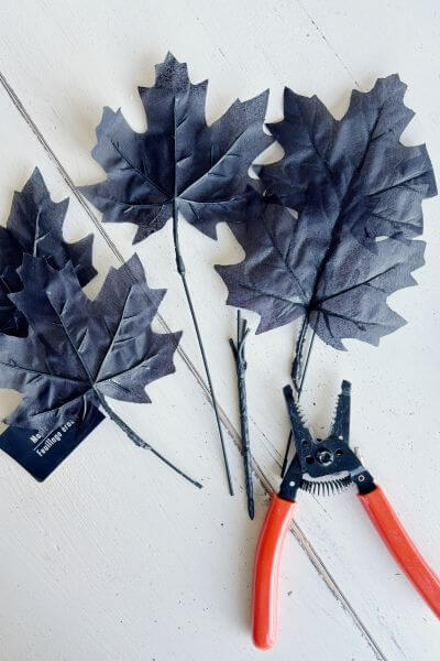Clip the black maple leaves from the central stem with wire cutters. 